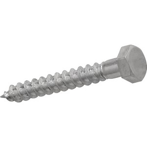 Coach Screws