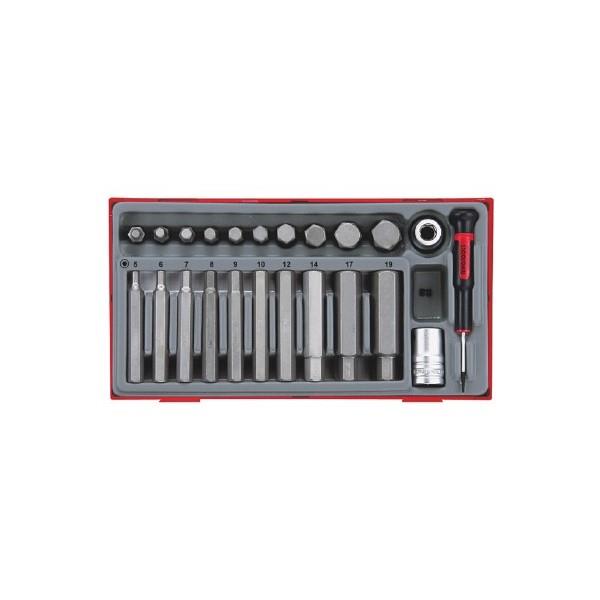 Teng Tools Hex Bit Set In Tc Tray