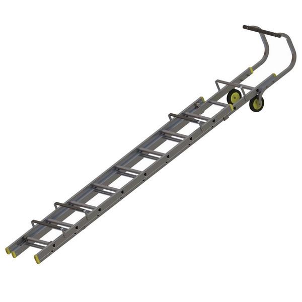 Double Section Roof Ladder