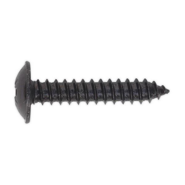 Self Tapping Screw - Pan Pozi