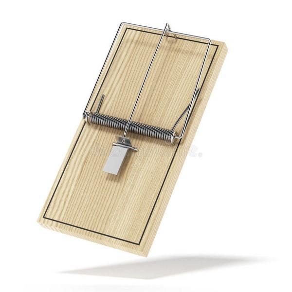 https://www.thomas-graham.co.uk/images/ww/from-merlin/cheap_wooden_mouse_trap-mi.jpg