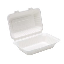 Dispo Bagasse Lunch Box - 230 x 160mm