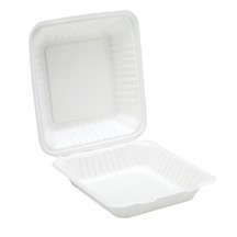 Dispo Bagasse Meal Box - 235 x 230mm