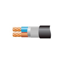 Black 2 Core Swa Xlpe/Lszh Cable - 10mm