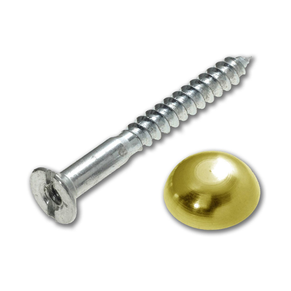 Brass Mirror Screw - 8G - 1