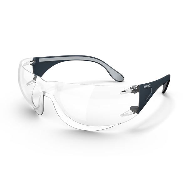 Moldex Adapt Mask Safety Glasses