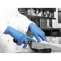 Polyco  Bodyguards GL890 Nitrile  Glove