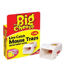 Mouse Traps
