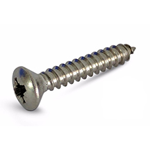 A2 Stainless Steel Countersunk Raised Self Tapping Screw