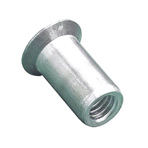 Cylindrical Head Countersunk Rivet Nut