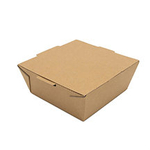 Food To Go Box - Medium