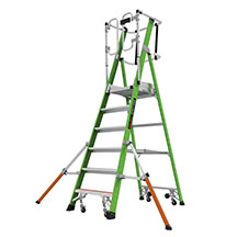 Little Giant 6 Tread Safety Cage