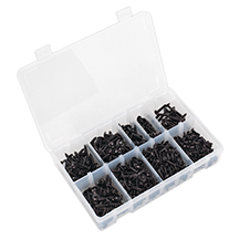 Sealey Self Tapping Flanged Head Screw Assortment - 700pc